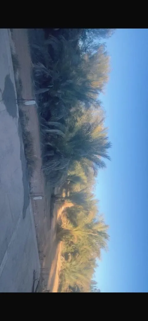 Vente Terrain Agricole Laghouat Laghouat