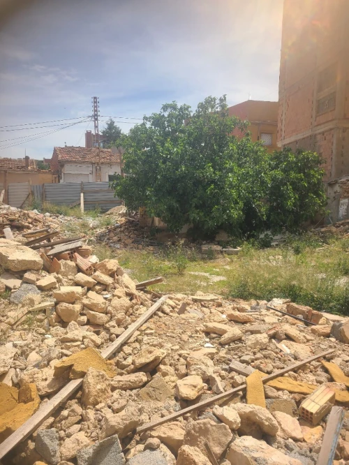 Vente Terrain Sidi Bel Abbès Sidi bel abbes