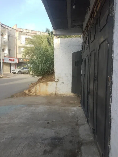 Location Local Alger Draria