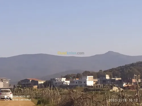 Vente Terrain Agricole El Tarf El taref