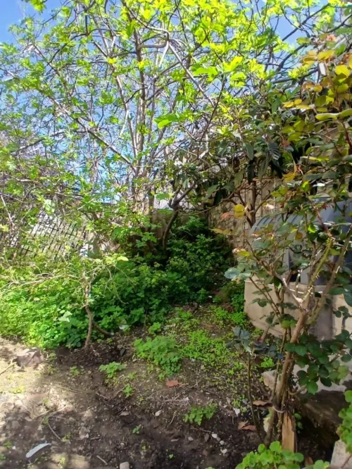 Vente Villa Annaba Annaba
