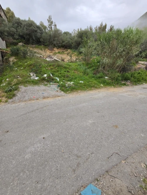 Vente Terrain Annaba Annaba