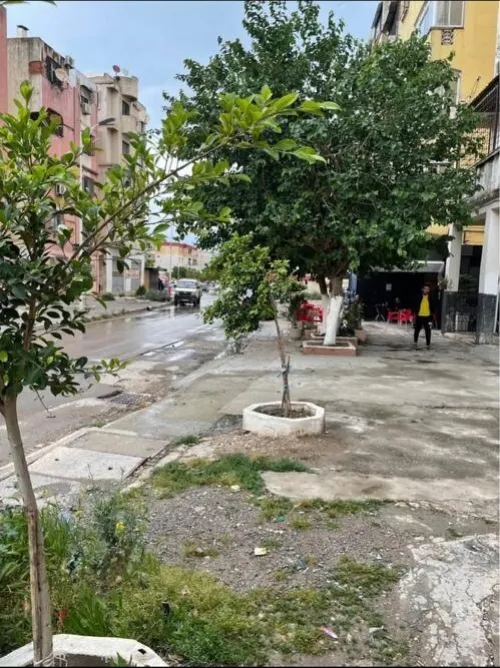 Location Local Annaba Annaba