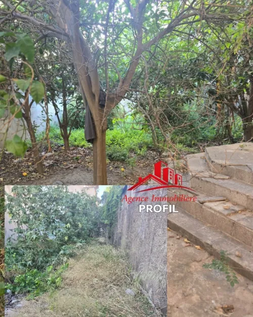 Vente Villa Annaba Annaba