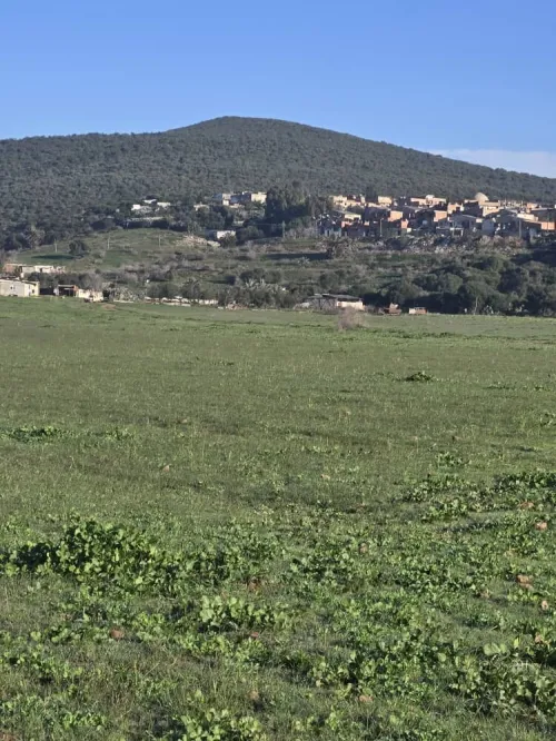 Vente Terrain Annaba Sidi amar