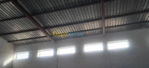 Vente Hangar - Usine Annaba Ain berda