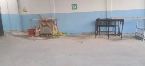 Vente Hangar - Usine Annaba Ain berda
