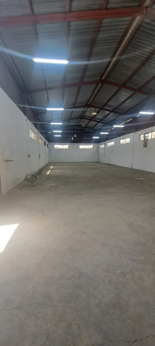 Location Hangar Boumerdès Hammedi