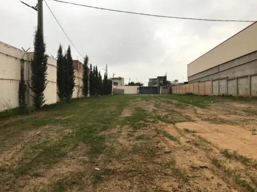Location Hangar - Usine Boumerdès Ouled moussa