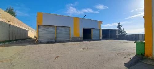 Vente Hangar - Usine Tipaza Kolea