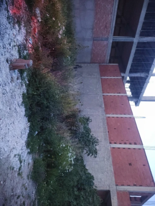 Vente Terrain Blida Meftah