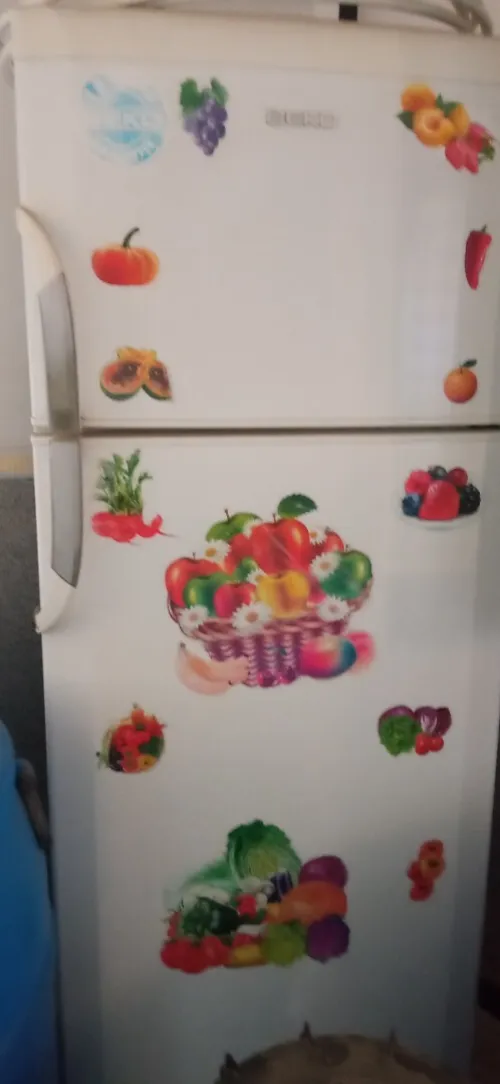 Frigo 