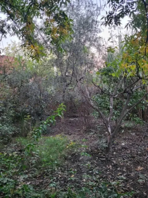 Vente Villa Boumerdès Bordj menaiel