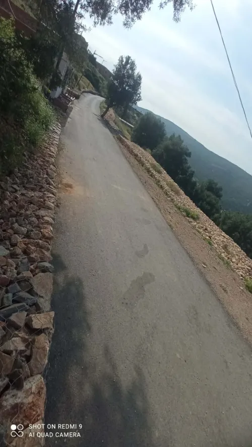 Vente Terrain Blida Djebara