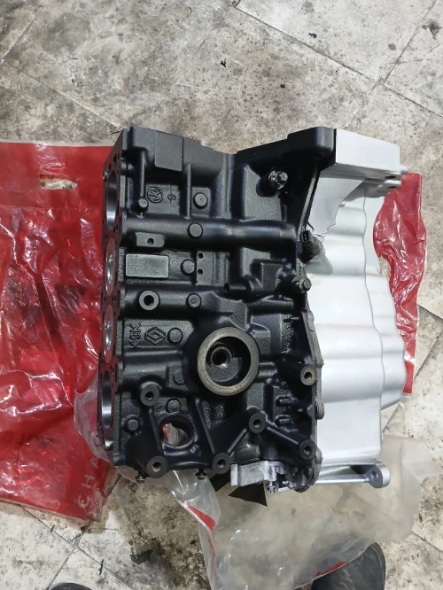 Moteur kangoo la 100c