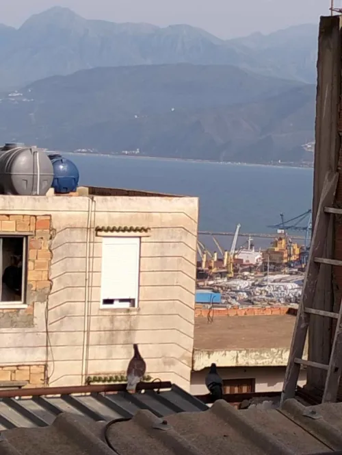 Vente bien immobilier Béjaïa Bejaia
