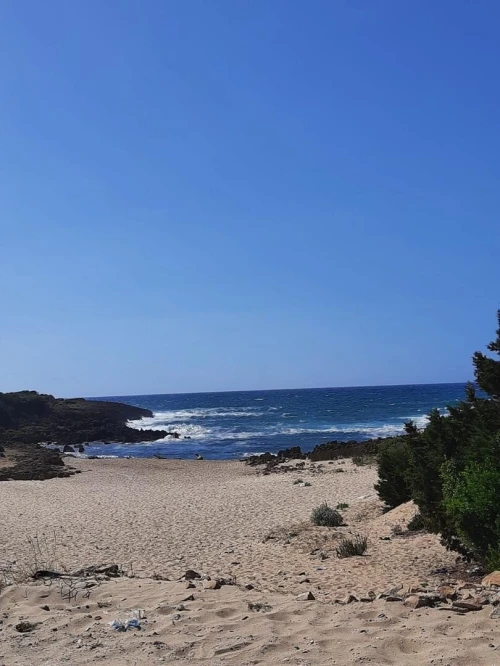 Location vacances Bungalow F3 El Tarf El kala