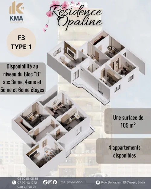 Vente Appartement F3 Blida Ouled yaich