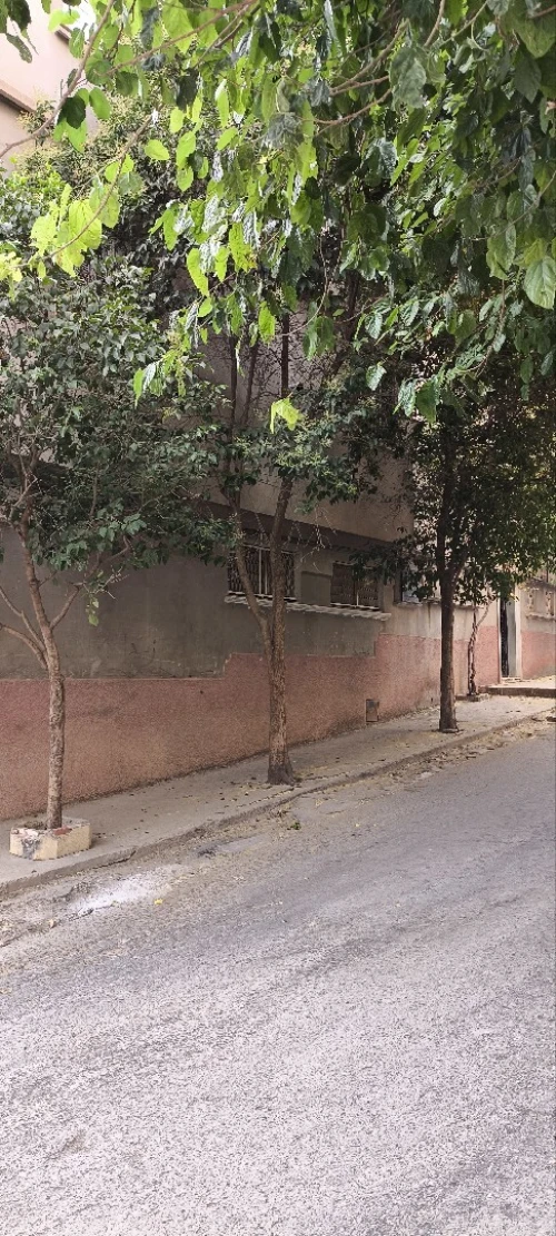 Vente bien immobilier Sétif Setif 6