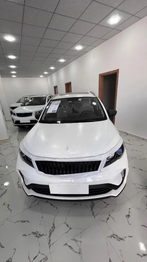 Geely Pro 2025 Livan X3 pro