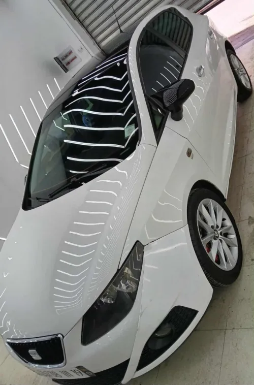 Seat Ibiza 2011 Loca