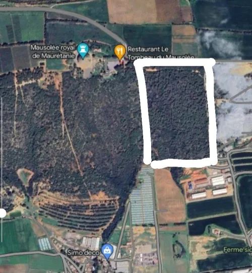 Vente Terrain Tipaza Sidi rached