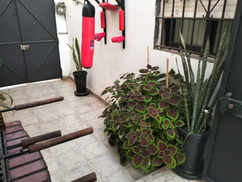 Location vacances Bungalow F2 Aïn Témouchent Ouled boudjemaa