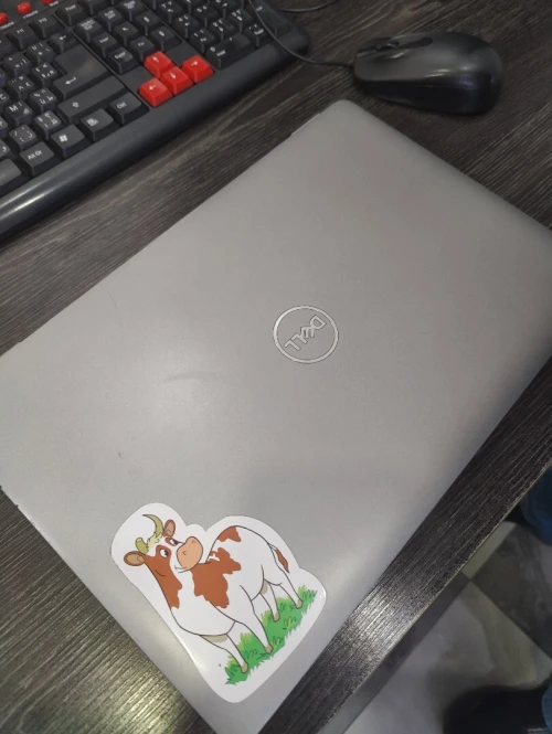 Pc portable dell latitude ultra 5 ram 16 diskdur 256