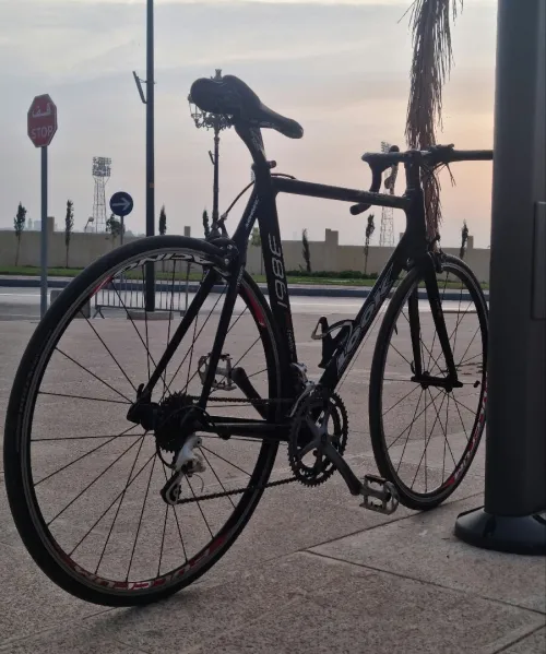 Vélo Corse Carbon Look Original 