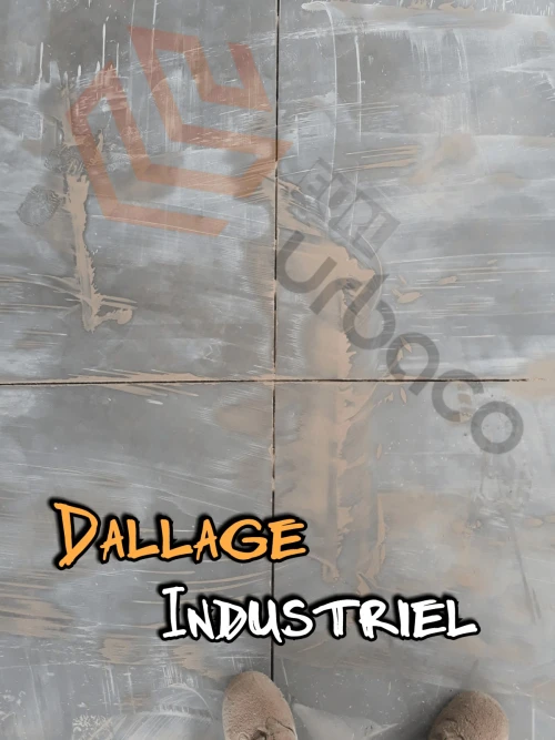 Dallage Industriel