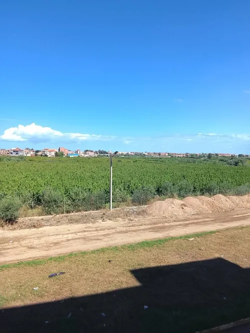 Vente Appartement F4 Boumerdès Hammedi