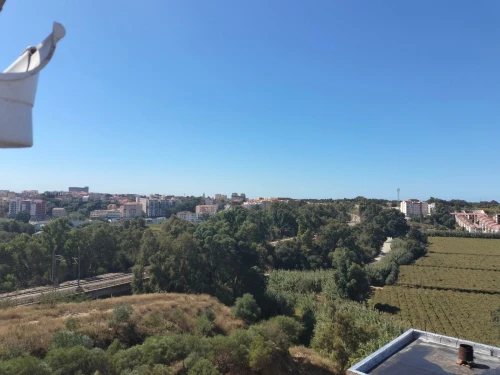 Vente Appartement Boumerdès Boumerdes