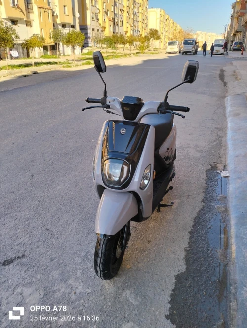Vms Estate x 2023