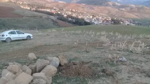 Vente Terrain Sétif Beni aziz