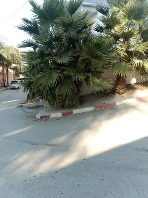 Vente Villa Blida Blida