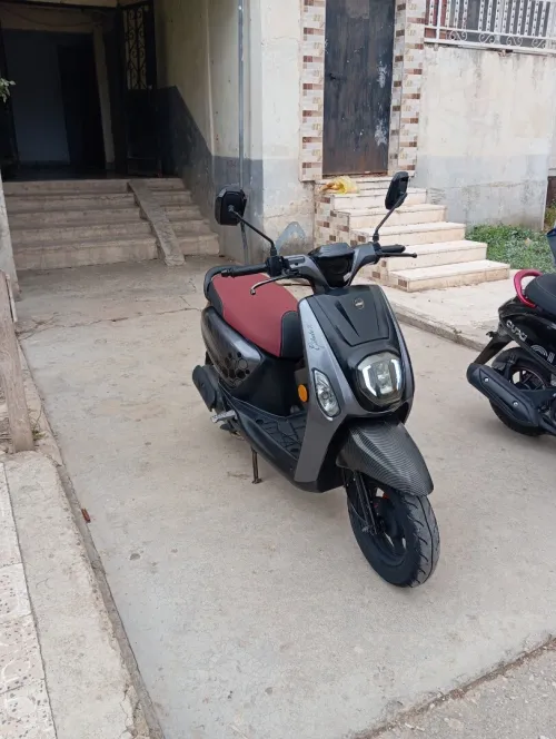 Vms Estate x 2022