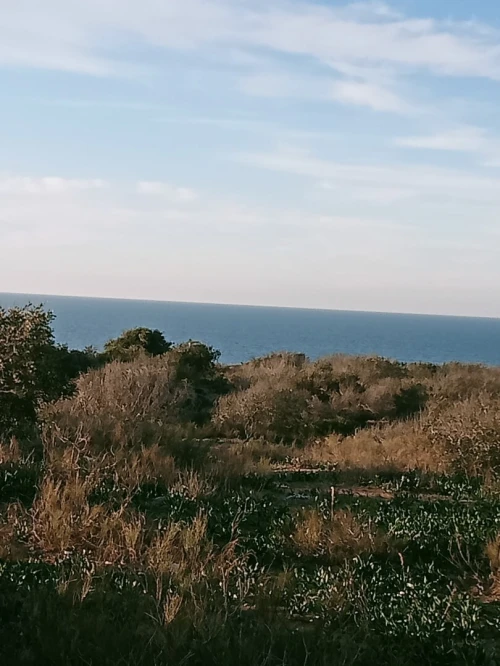Vente Terrain Mostaganem Mostaganem