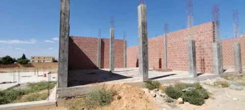 Vente Terrain Batna Ain yagout