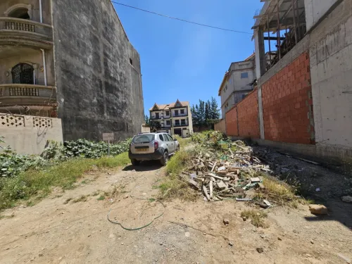 Vente Terrain Blida Chiffa