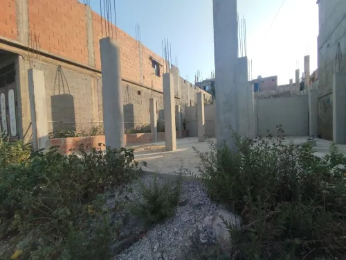 Vente Terrain Skikda Ramdane djamel