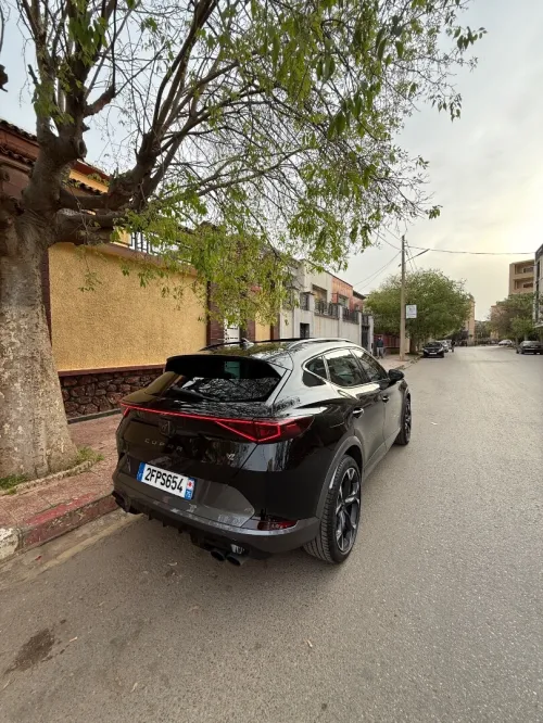Cupra  Formentor vz 2.0 tsi 320ch 2024 Vz