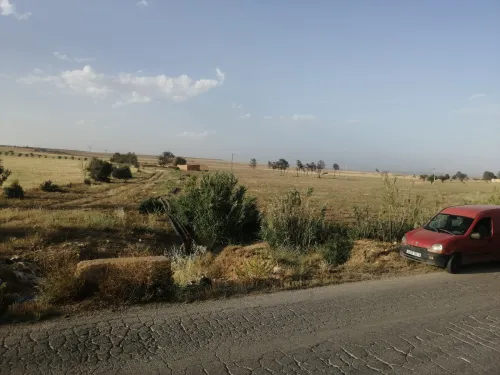 Vente Terrain Agricole Tiaret Sougueur
