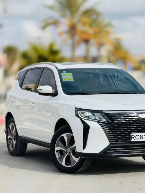 Geely Pro 2025 HAOYEU