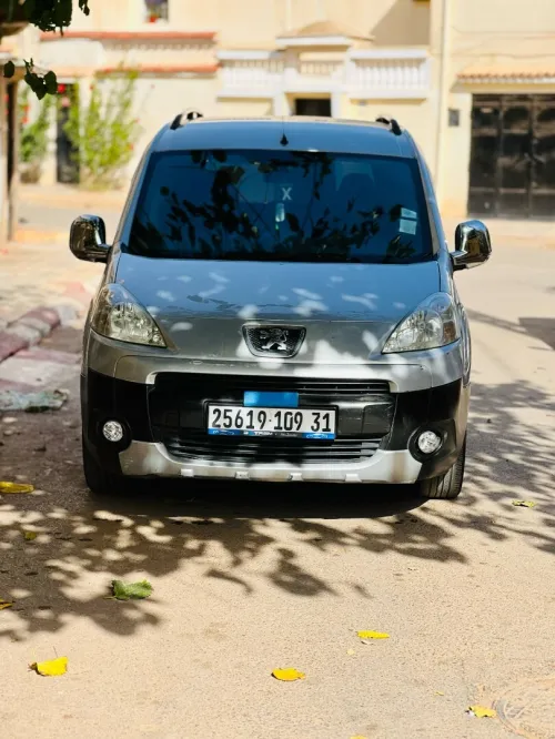 Peugeot Partner 2009 Tepee