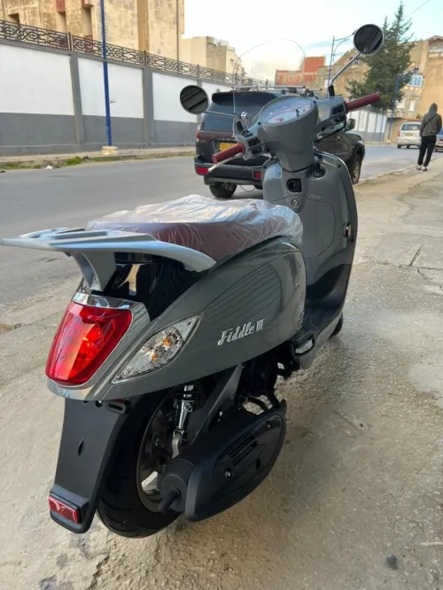 Sym Fiddle 3 2024
