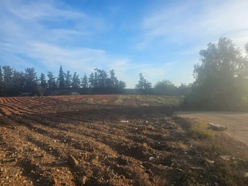 Vente Terrain Mostaganem Ouled el kheir