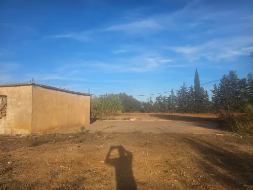 Vente Terrain Mostaganem Ouled el kheir