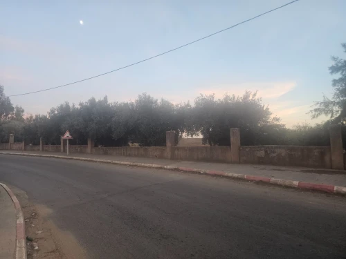 Vente Terrain Mostaganem Ouled el kheir