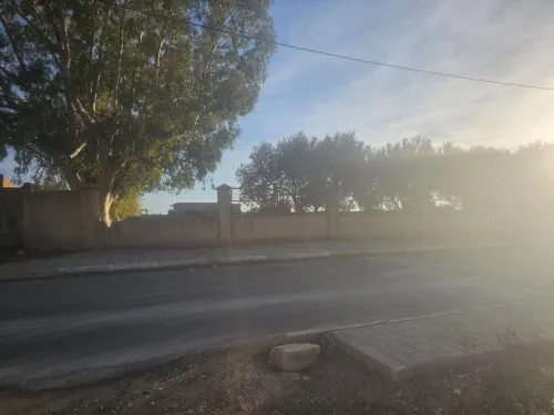 Vente Terrain Mostaganem Ouled el kheir