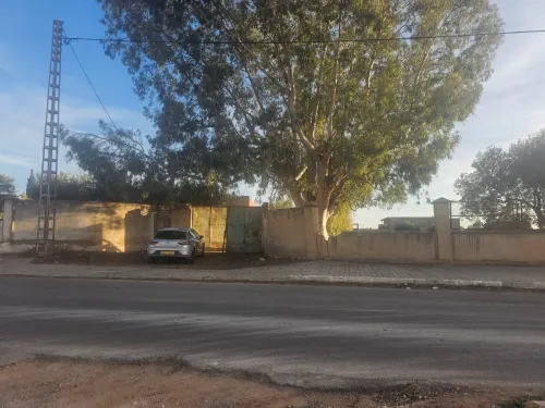 Vente Terrain Mostaganem Ouled el kheir